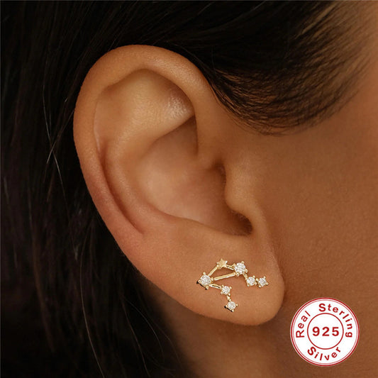 Sterling Silver Irregular Zodiac Diamond Pentagram Stud Earrings